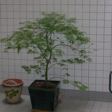 达尔塞酒店 2* 巴黎